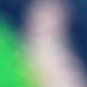 Meet your Posher, Barb